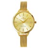 Zegarek Damski G.Rossi 10296B4-4D1 + BOX - 4742