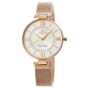 Zegarek Damski G.Rossi 6124B-3D3 + BOX - 1165