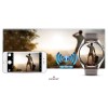 Smartwatch Giewont Vertex SmartCall GW450-6 Silver/Brown Leather - 6325